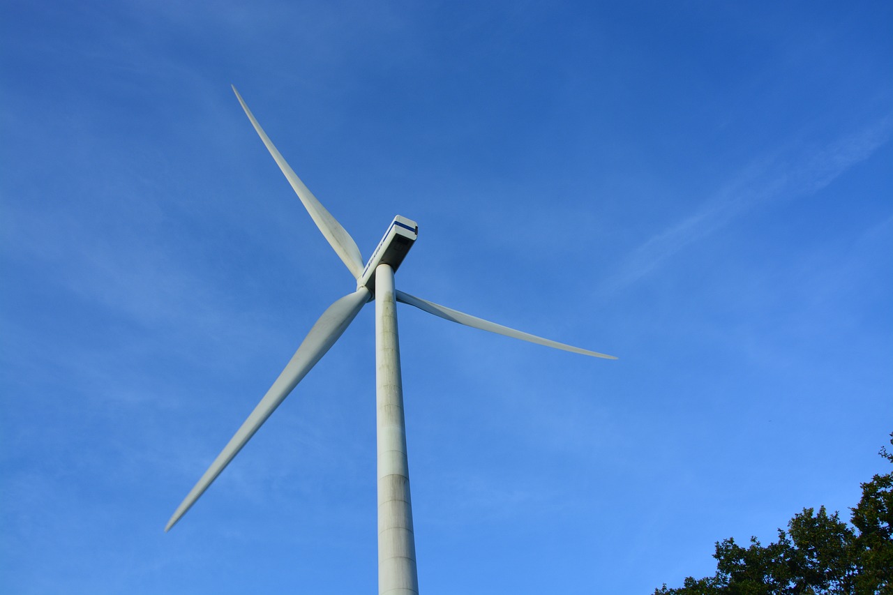 The Power of Renewable Energy in Sustainability